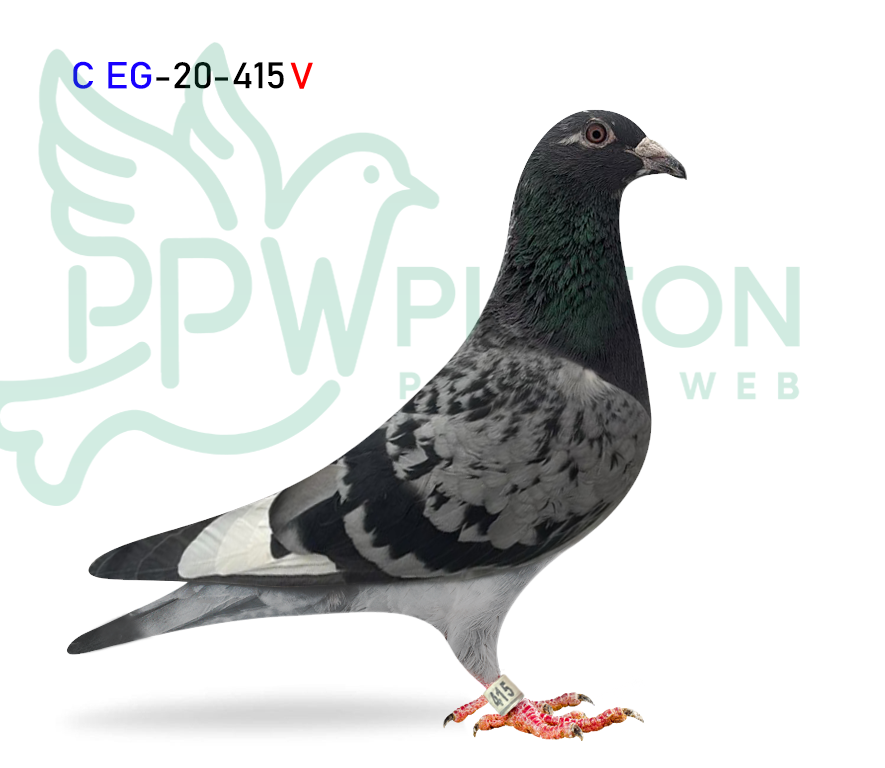 EG 20-415