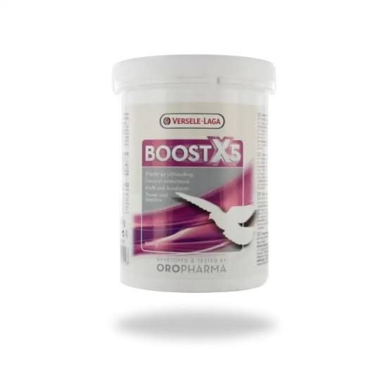  BOOST X5
