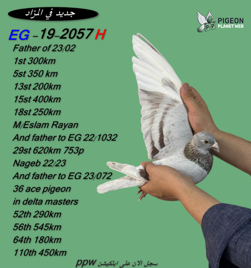 EG 19-2057